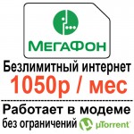 meg1050-modem.jpg