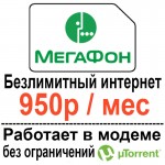 meg950-modem.jpg